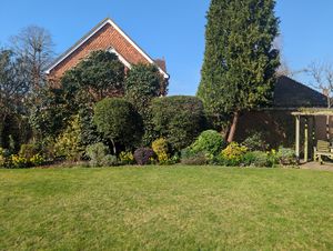 Photo 24- click for photo gallery